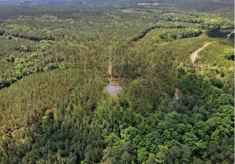 SOUTHWEST CHESTER TIMBER AND HUNTING