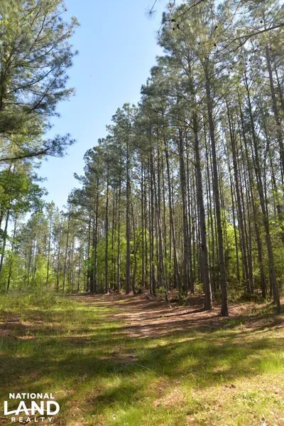 property-image-3