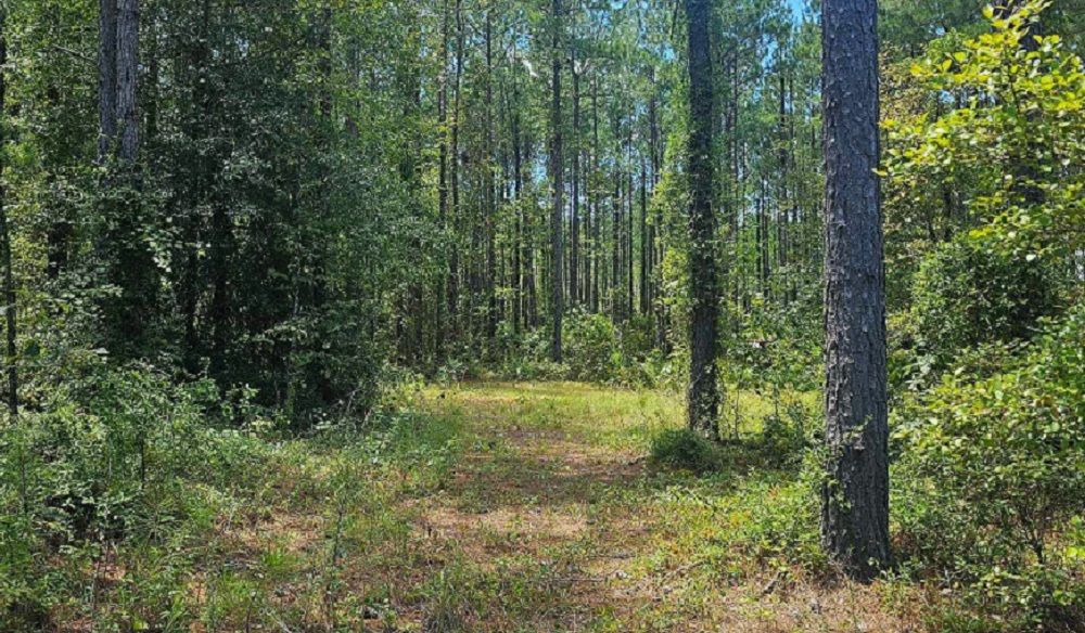 property-image-2