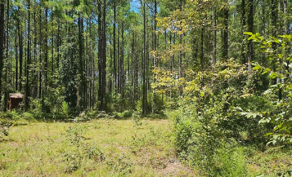 property-image-6