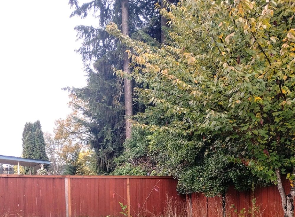 property-image-7