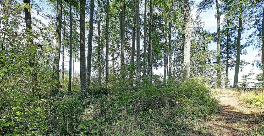 property-image-7