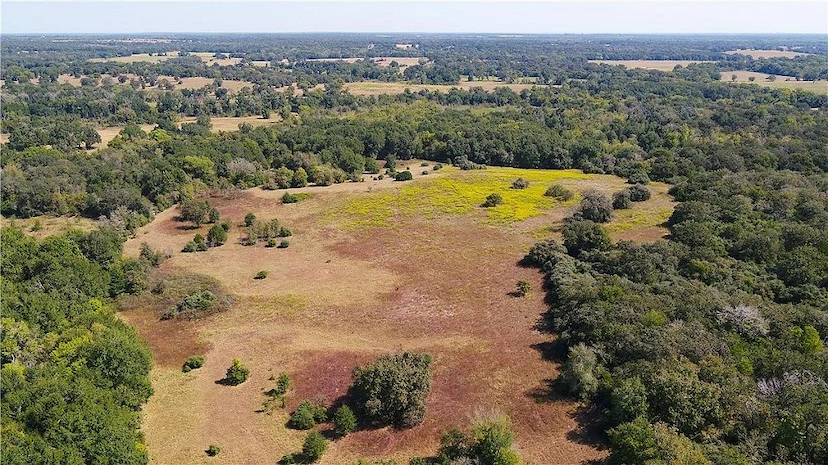 109 ACRES | BURLESON COUNTY