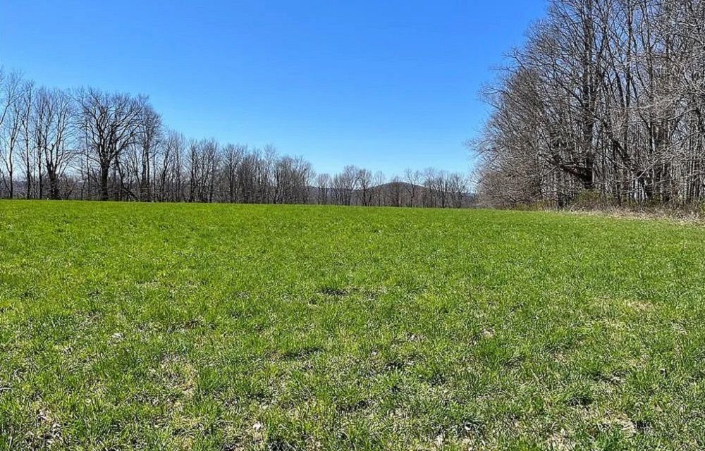 property-image-5