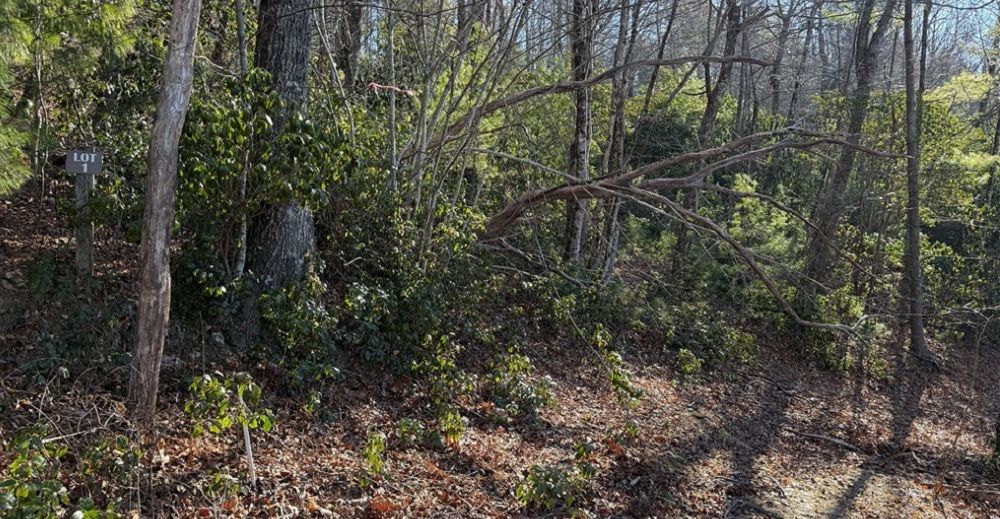 property-image-6