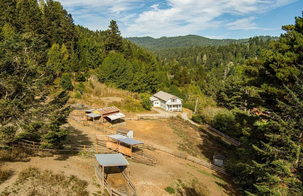 property-image-5