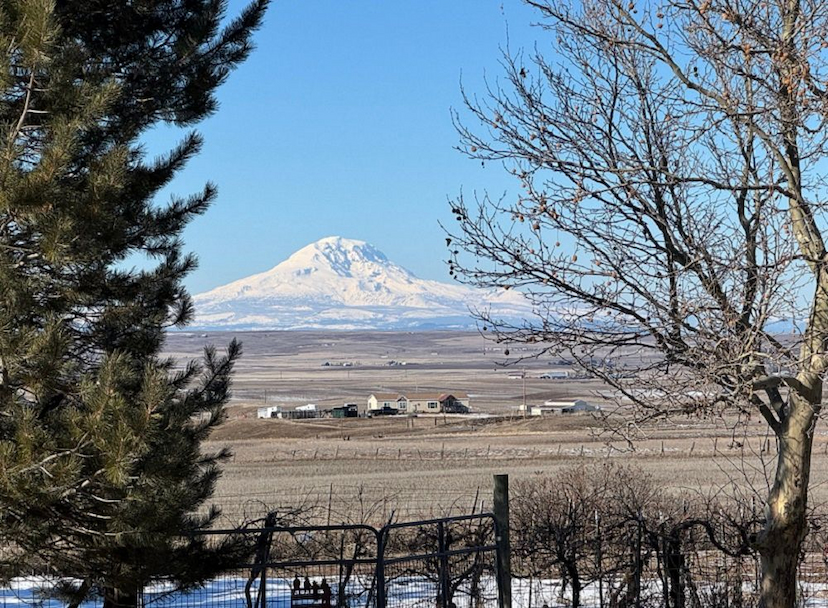 PEACE, PRIVACY, AND PANORAMIC VIEWS AWAIT - FARM ON 20 ACRES IN CENTERVILLE, WA!