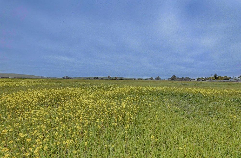 property-image-11