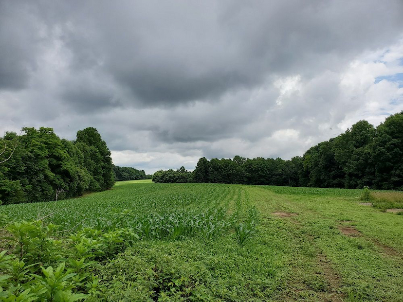 STUNNING LONG-RANGE VIEWS AND ULTIMATE PRIVACY