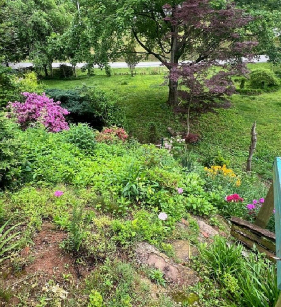 property-image-4
