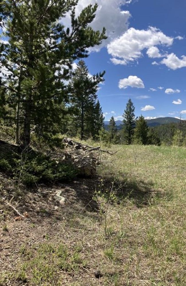 100 PRISTINE ACRES THAT CAPTURE THE TRUE ESSENCE OF THE MAJESTIC ROCKY MOUNTAINS