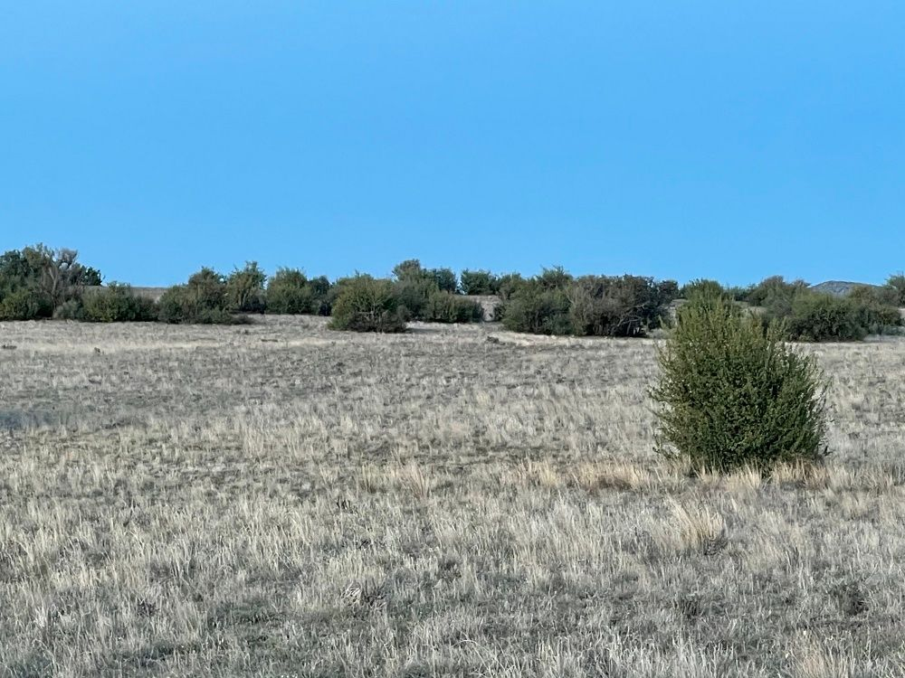 property-image-7