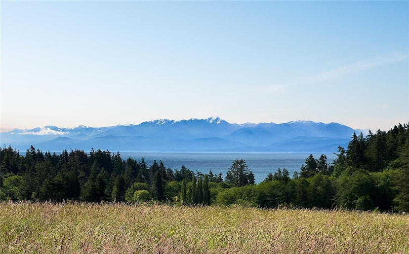 OCEAN AND MOUNTAIN VIEWS
