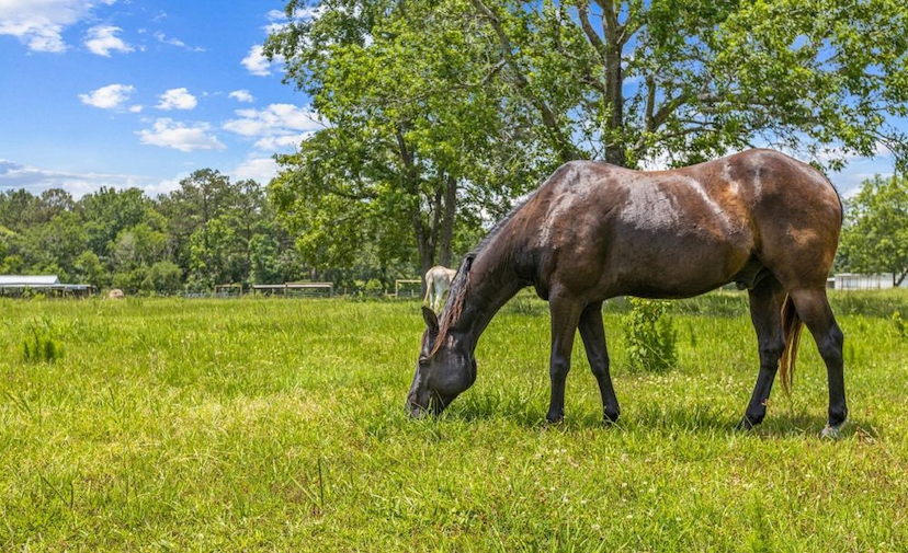 Experience Serene Country Living
