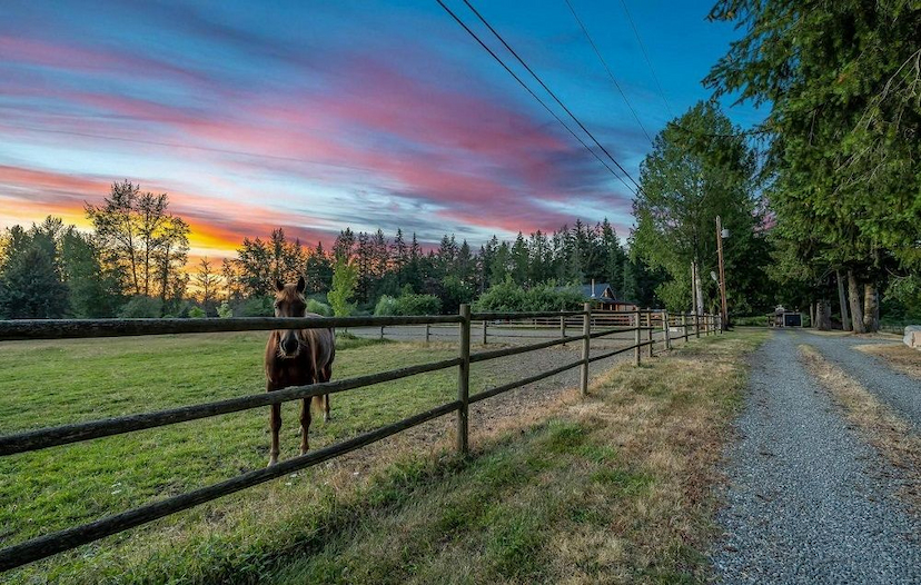 EQUESTRIAN PARADISE!