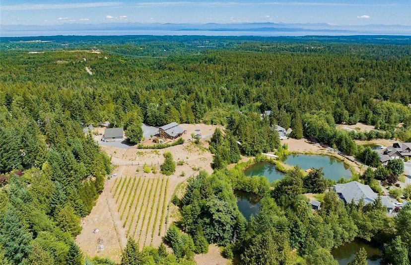 VINEYARD-WATERSLIDE-SHOP-ACREAGE