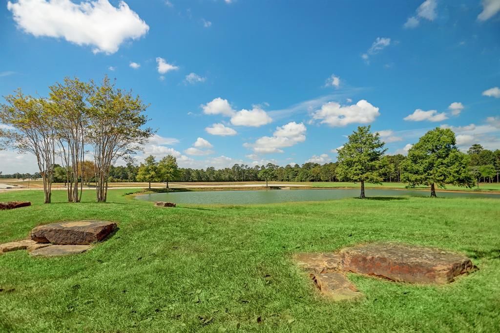 property-image-6