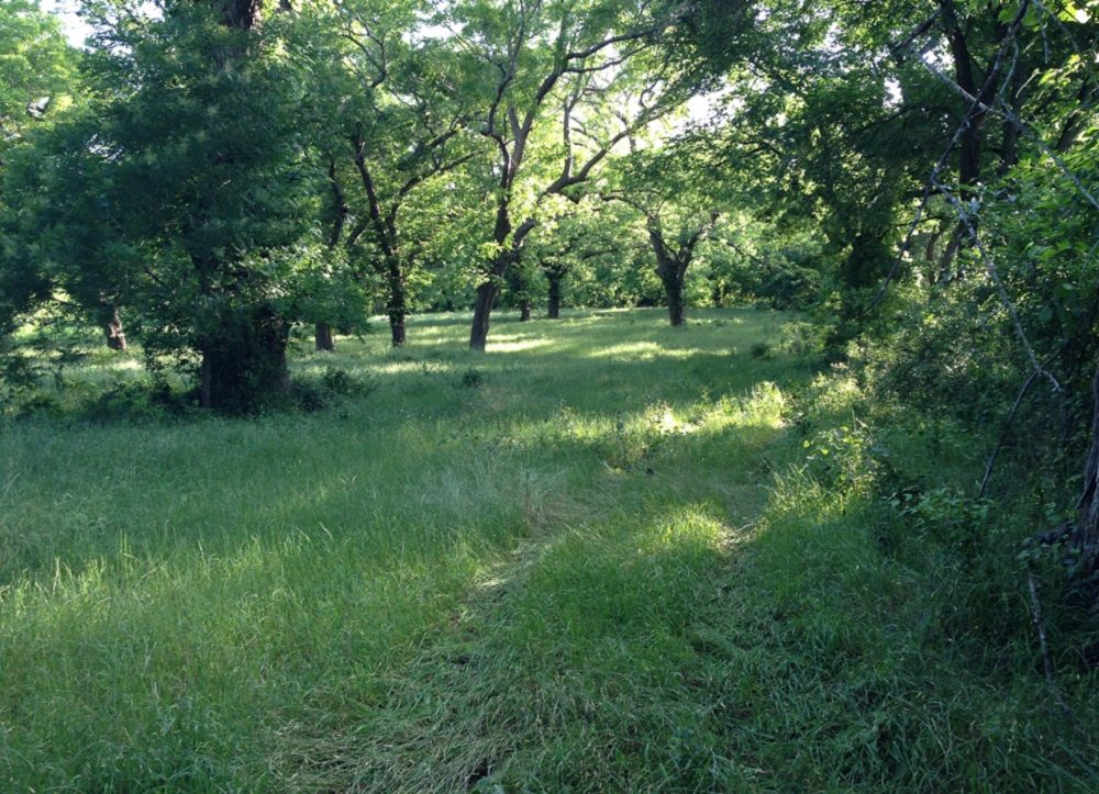 property-image-4