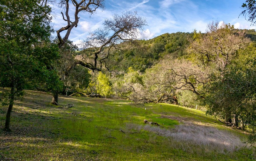 LAND FOR SALE BY ASHLEY WALTER PERFECT FOR YOUR DREAM HOME