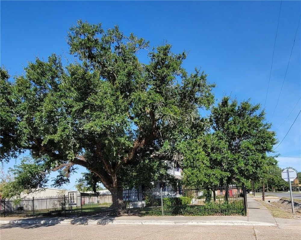 property-image-7