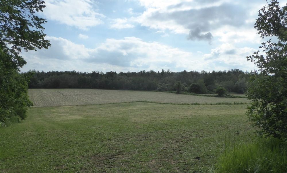 property-image-2