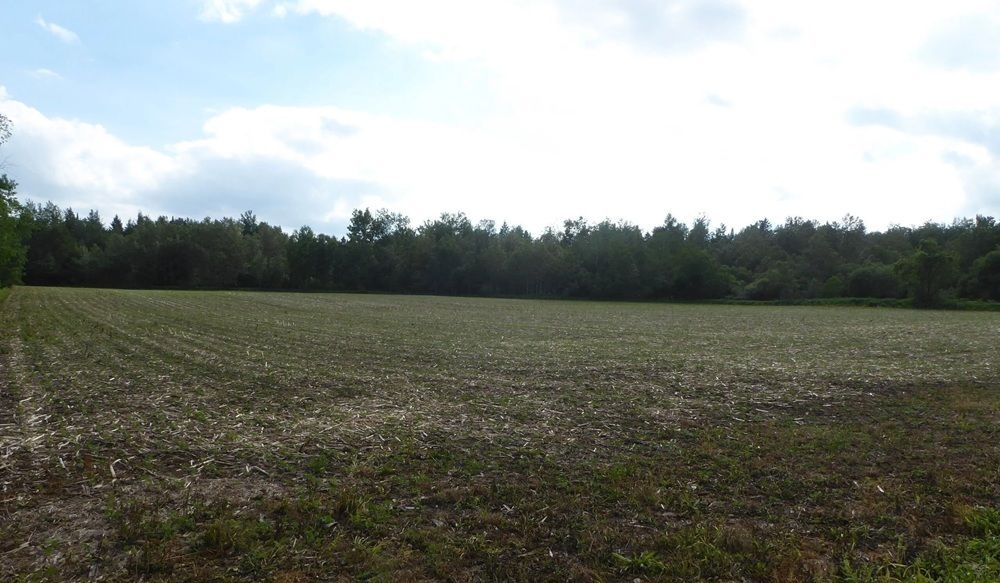 property-image-6