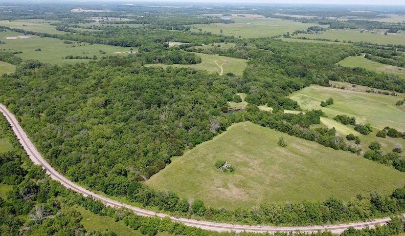 125 Acre Tract For Farming, Hunting Or Homesite For Sale