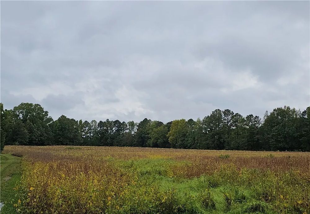 property-image-4