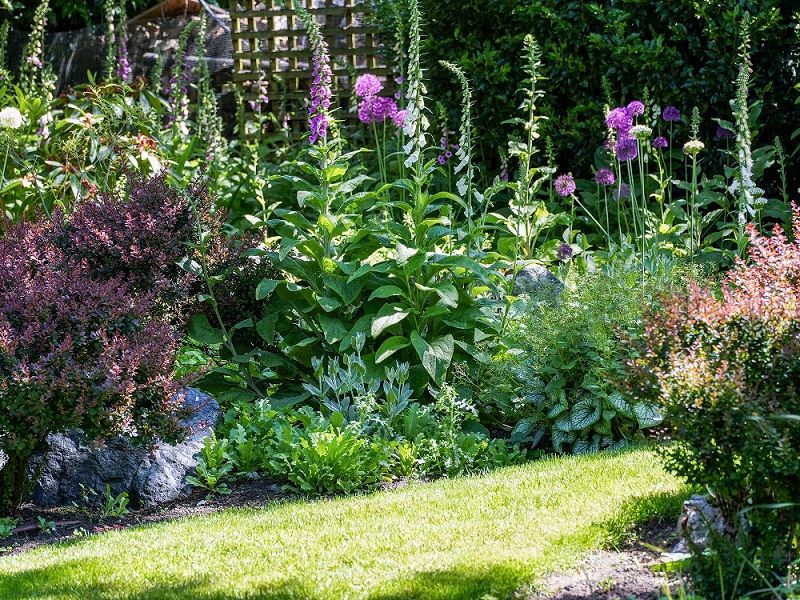 property-image-6