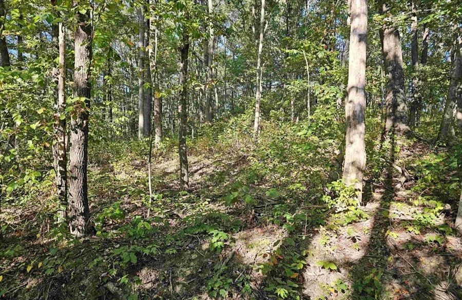 property-image-2