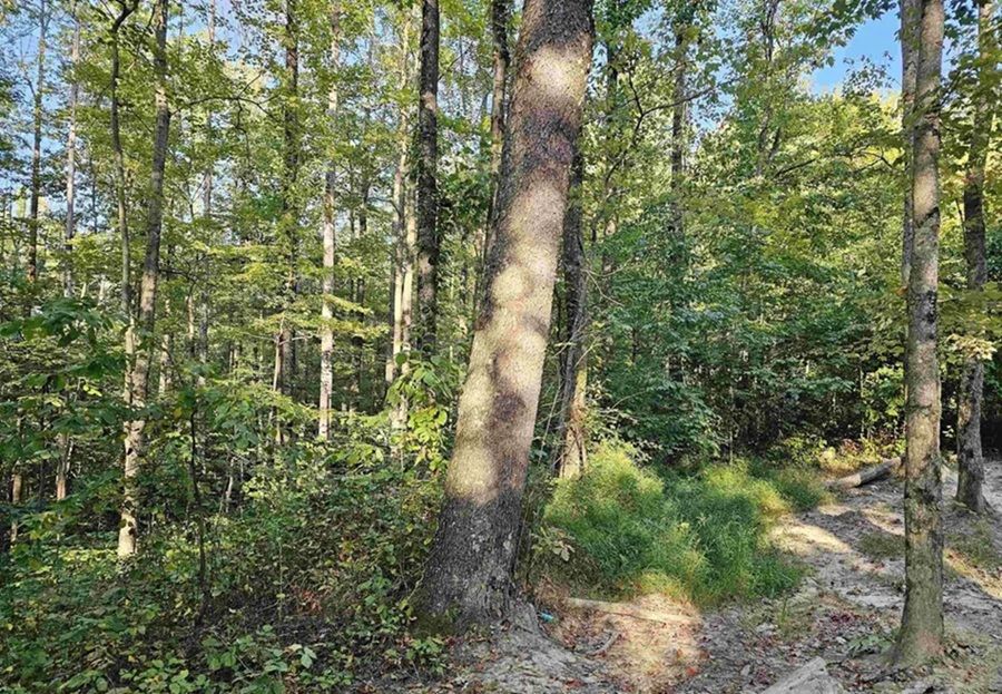property-image-5