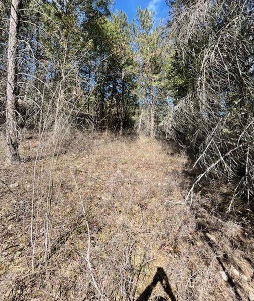 property-image-4