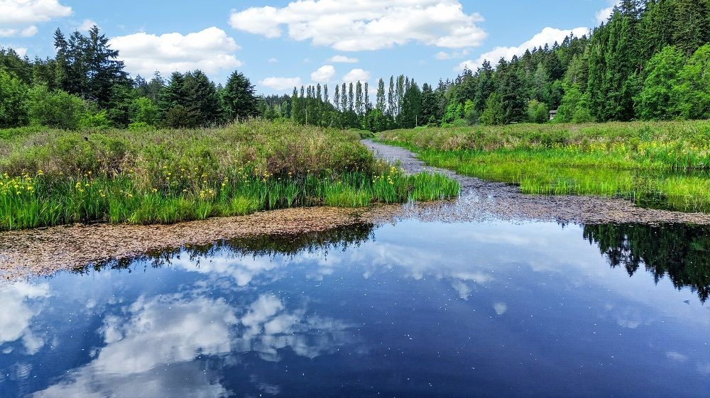 Sea Meadow Sanctuary: A Five-acre Island Escape