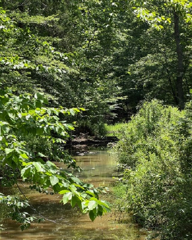 property-image-7