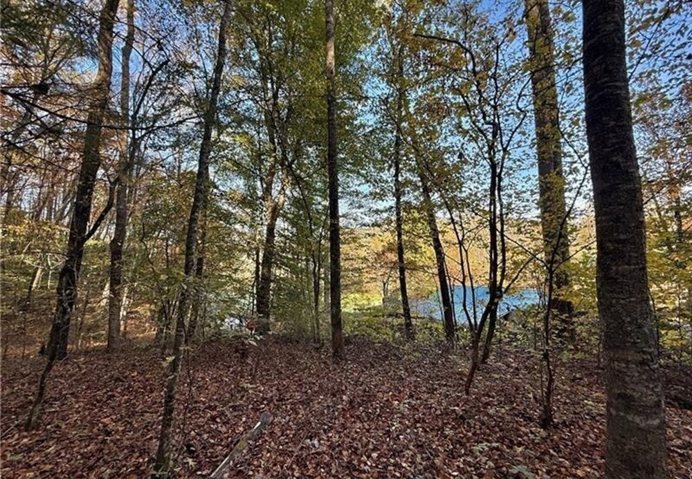 property-image-2