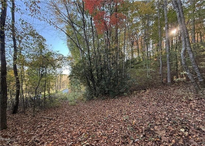 property-image-4