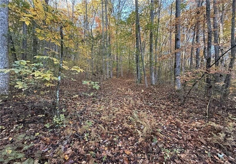 property-image-6