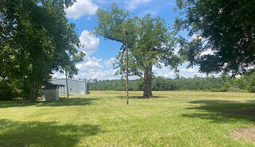 Prime 358-Acre Farm Near Jesup