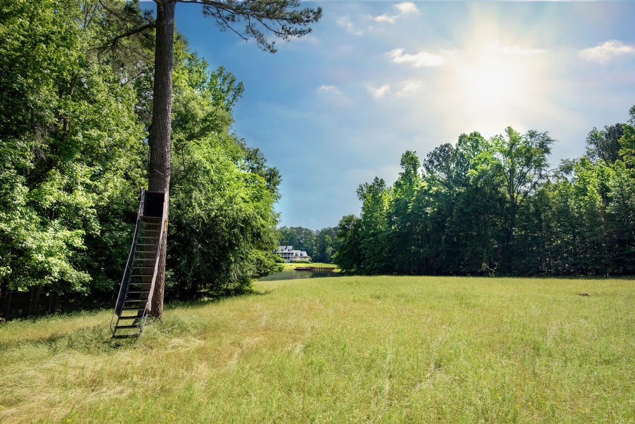 property-image-4