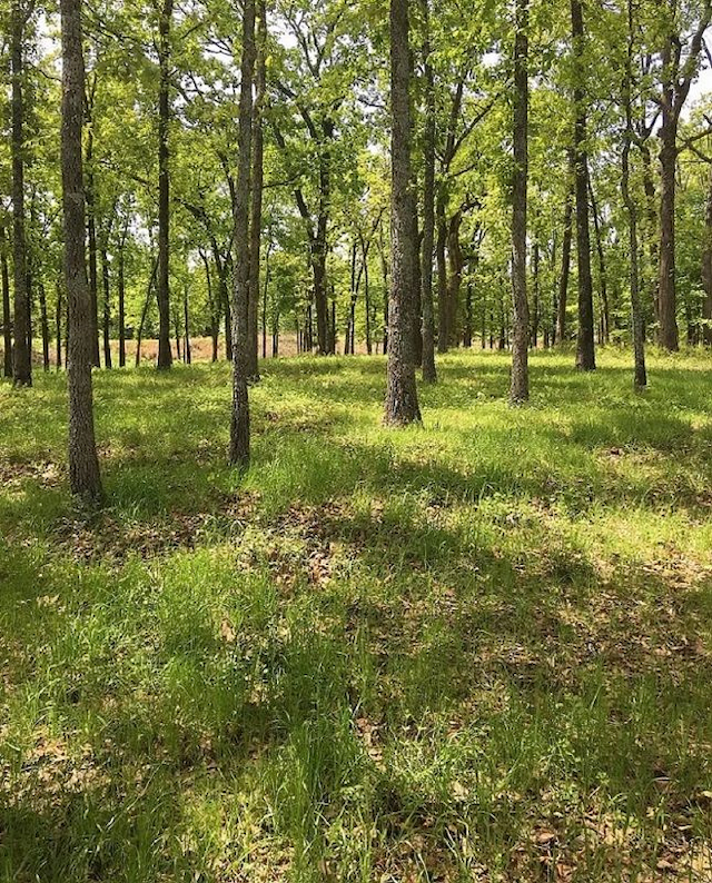 property-image-2