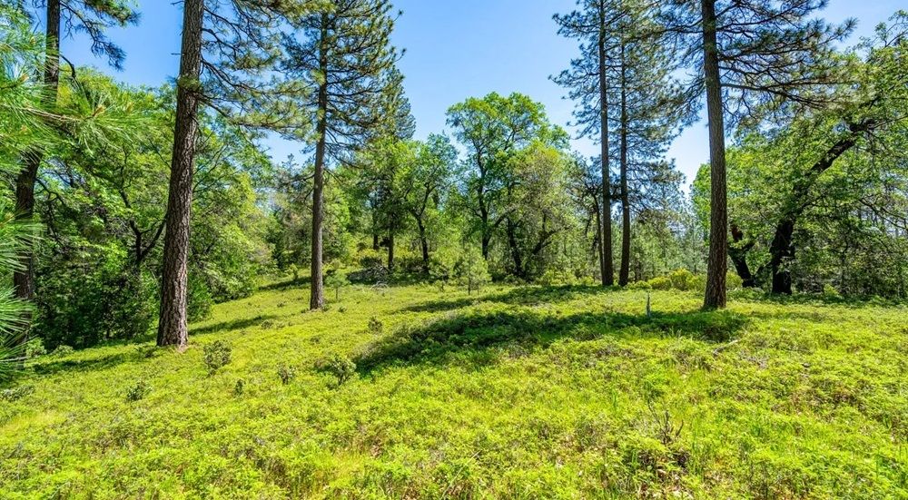 Ashland Creek Ranch