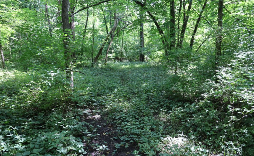 Recreational Property