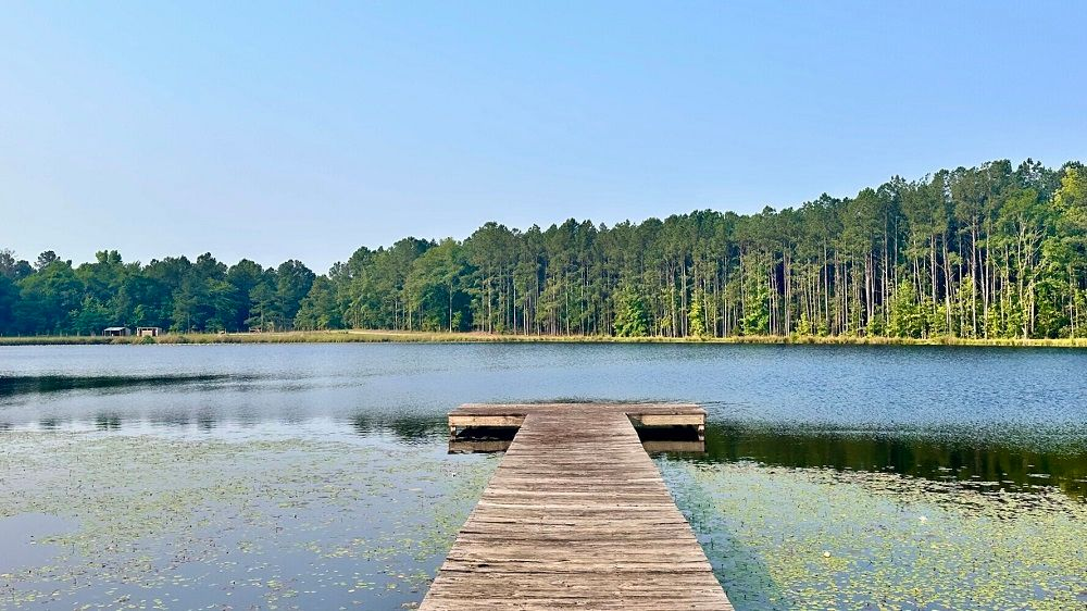 property-image-7