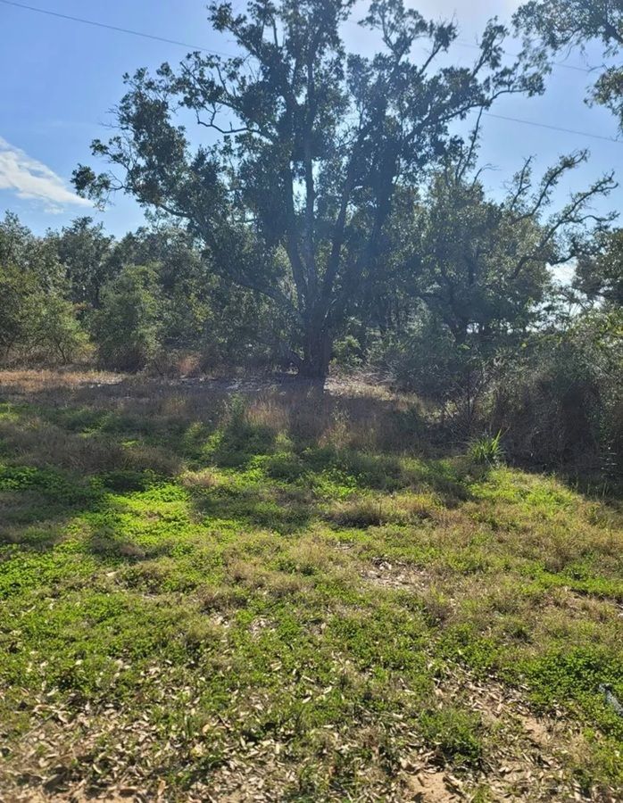 property-image-4