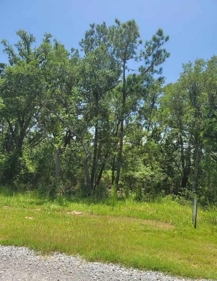 property-image-5