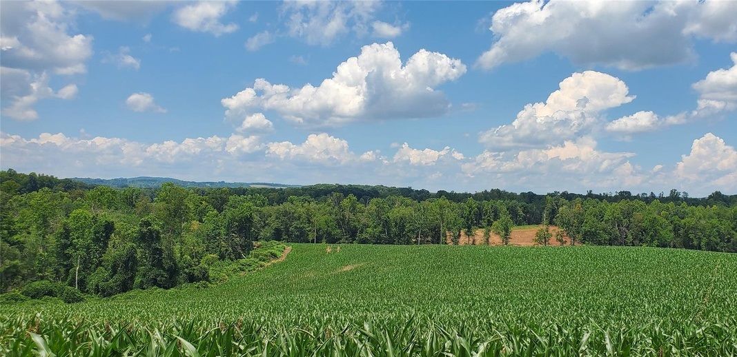 500 +/- Acres In Yadkin County