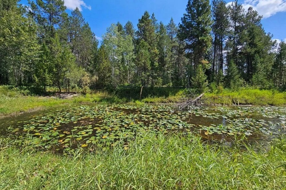 property-image-7