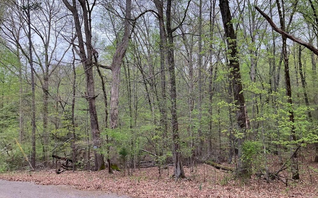 property-image-2