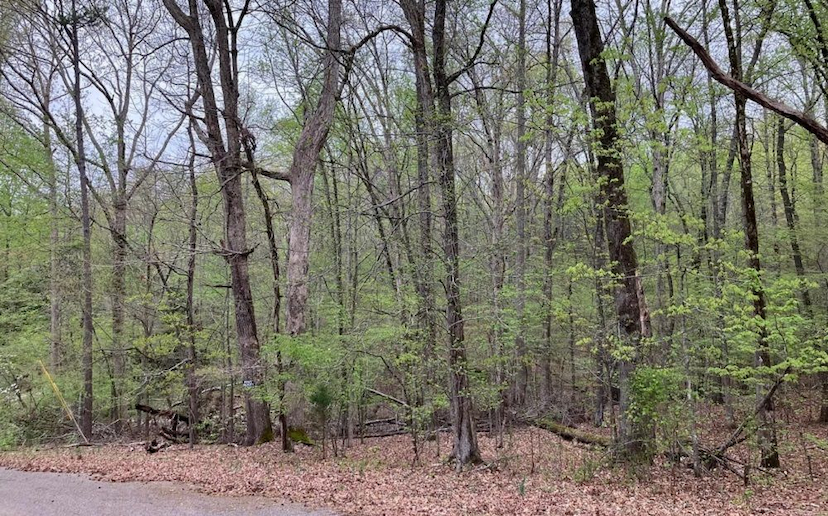 Lot 9 Eagle Point Dr