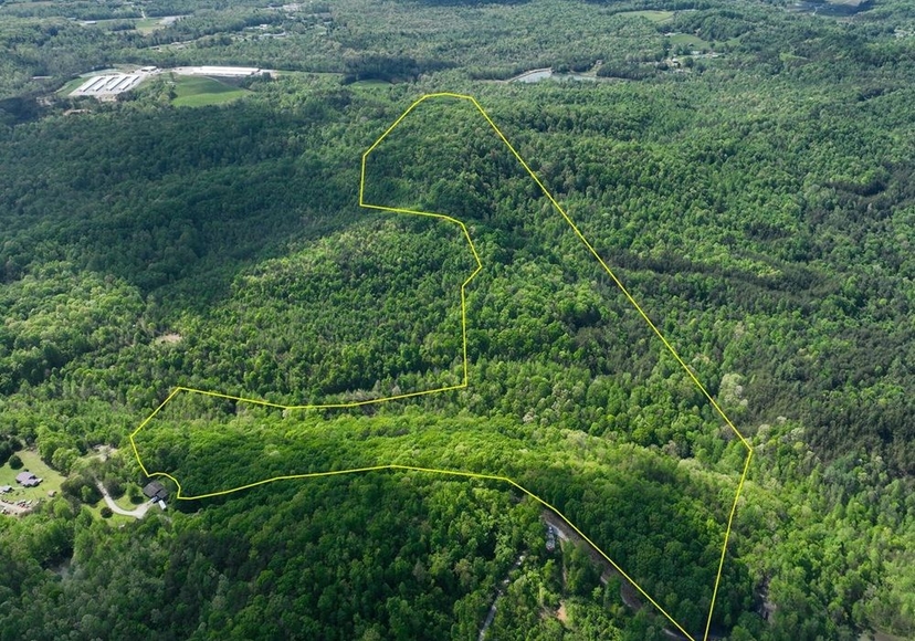 Vacant Land Opportunity: 90+ Acres Of Untouched Serenity!